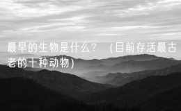 最早的生物是什么？（目前存活最古老的十種動物）