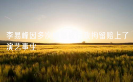 李易峰因多次嫖娼被行政拘留賠上了演藝事業(yè)