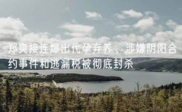 鄭爽接連爆出代孕棄養(yǎng)、涉嫌陰陽合約事件和逃漏稅被徹底封殺