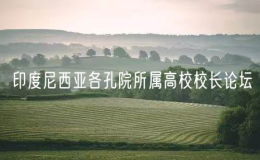 第二屆印度尼西亞各孔院所屬高校校長論壇舉行