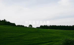 在美國(guó)接受本科及以上高等教育外國(guó)留學(xué)生人數(shù)超過112萬人