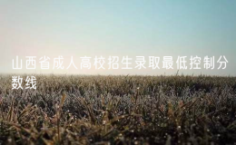 2024年山西省成人高校招生錄取最低控制分數(shù)線公布