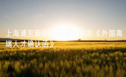 上海浦東新區(qū)將可直接審發(fā)《外國高端人才確認(rèn)函》