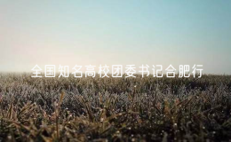 全國(guó)知名高校團(tuán)委書記合肥行