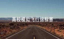 全國(guó)高校模擬飛行錦標(biāo)賽舉辦
