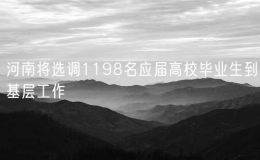 河南將選調1198名應屆高校畢業(yè)生到基層工作