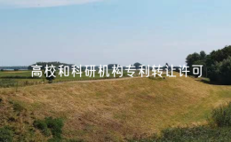 1-11月全國高校和科研機(jī)構(gòu)專利轉(zhuǎn)讓許可同比增長19.1%