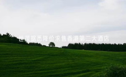 世茂據(jù)悉降價(jià)求售香港第二大酒店