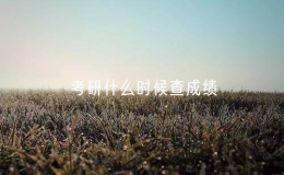 考研什么時候查成績