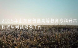 2025年山東省普通高等教育專科升本科招生考試報(bào)名工作