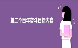 第二個(gè)百年奮斗目標(biāo)內(nèi)容是什么