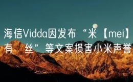 海信Vidda因發(fā)布“米【mei】有屌絲”等文案損害小米聲譽
