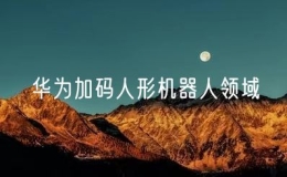 華為加碼人形機器人領域