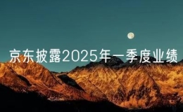 京東披露2025年一季度業(yè)績(jī)