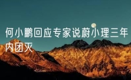 何小鵬回應(yīng)專家說(shuō)蔚小理三年內(nèi)團(tuán)滅