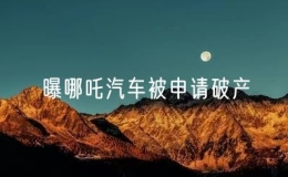 曝哪吒汽車(chē)被申請(qǐng)破產(chǎn)
