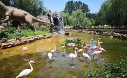 全球十大最著名的動物園，全球最大的動物園在哪里
