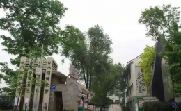 成都排名前十的小學(xué) 成都小學(xué)排名前十名