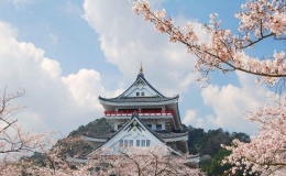 日本的國(guó)土面積有多大，日本國(guó)土面積多少平方公里