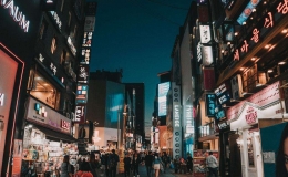韓國國土面積有多大(韓國國土總面積)
