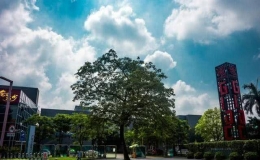 中國第一大省排名 中國人口最多三個省