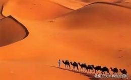 世界十大沙漠面積排名 世界上面積最大的十個(gè)沙漠