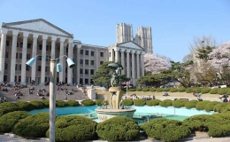 韓國(guó)大學(xué)排名一覽表(韓國(guó)大學(xué)2022最新排名)