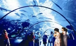 中國(guó)十大海洋館排名(2023中國(guó)十大海洋公園排行榜)