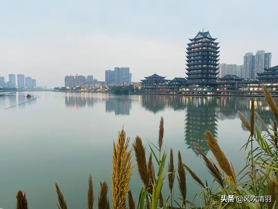 QQ圖片20221112143013.jpg