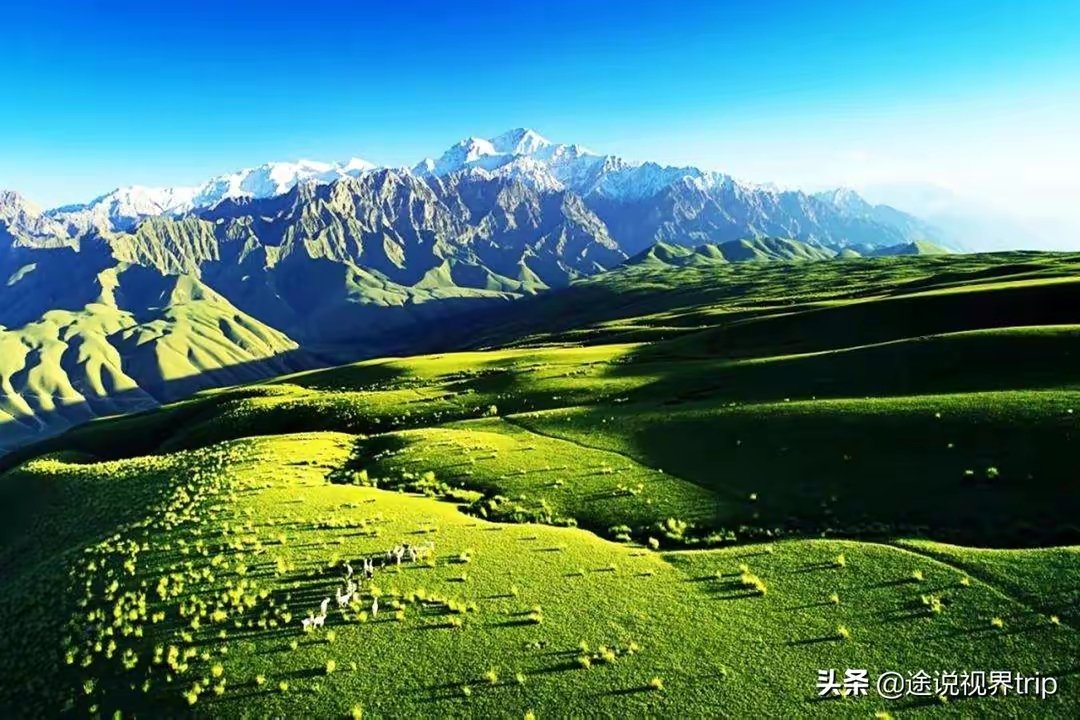 QQ圖片20221118200715.jpg