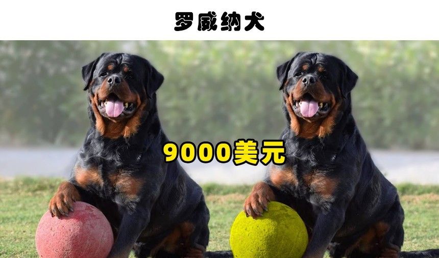 QQ圖片20221014220959.jpg